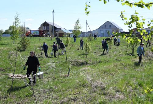 Алексеевские дорожники организовали субботник в парке «Дорожник»