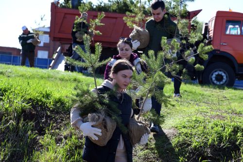 Алексеевские дорожники организовали субботник в парке «Дорожник»