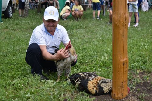 Борьба корэш, угощения и лотерея: в Среднетиганском сельском поселении прошел Сабантуй