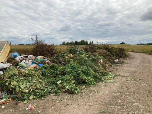 Дачники загрязняют окружающую среду своими зелеными отходами