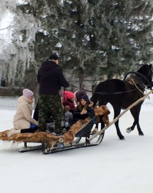 Дед Мороз приехал на елку к ребятам на запряженной санями лошади