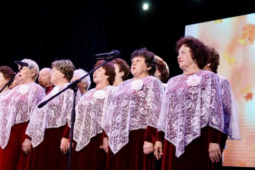 В Алексеевском прошёл концерт ко Дню пожилых людей