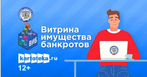 Ключевые моменты по витрине имущества банкротов в Татарстане