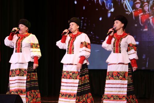 Фоторепортаж: в Алексеевском районе состоялся праздничный концерт ко Дню народного единства