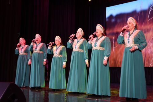 Фоторепортаж: в Алексеевском районе состоялся праздничный концерт ко Дню народного единства