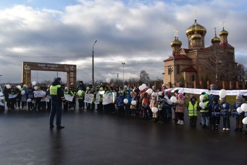 «Жизнь без ДТП – выбор каждого!»: В Алексеевском почтили память жертв дорожных аварий