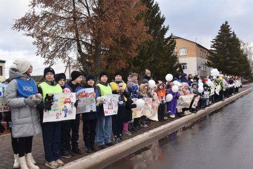 «Жизнь без ДТП – выбор каждого!»: В Алексеевском почтили память жертв дорожных аварий