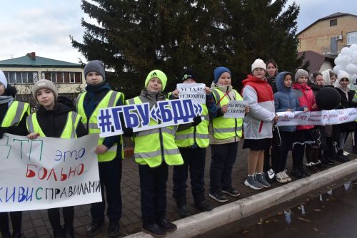 «Жизнь без ДТП – выбор каждого!»: В Алексеевском почтили память жертв дорожных аварий