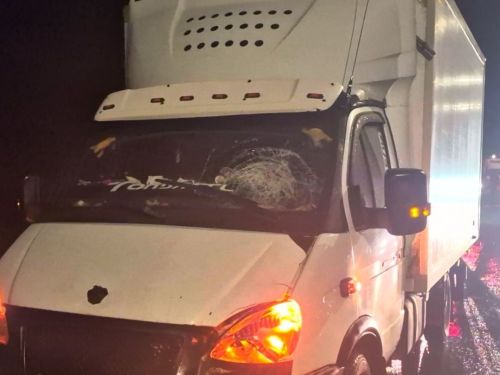 В Алексеевском районе произошло смертельное ДТП