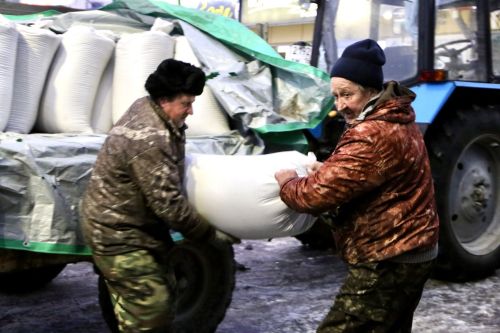 Сельскохозяйственная ярмарка объединила жителей Алексеевского