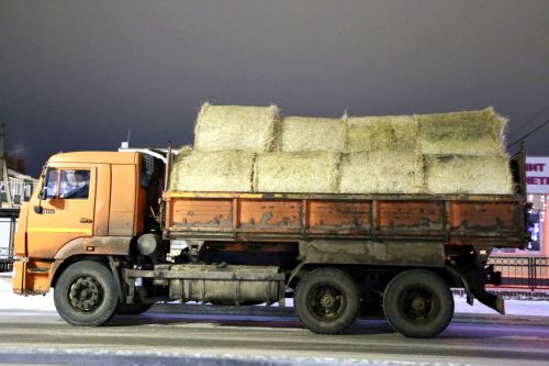 Сельскохозяйственная ярмарка объединила жителей Алексеевского