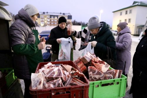 Сельскохозяйственная ярмарка объединила жителей Алексеевского