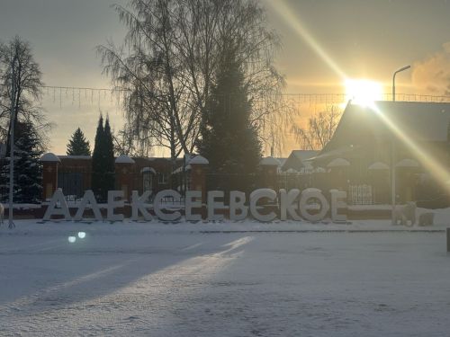 Прогноз погоды в Алексеевском на 31 декабря