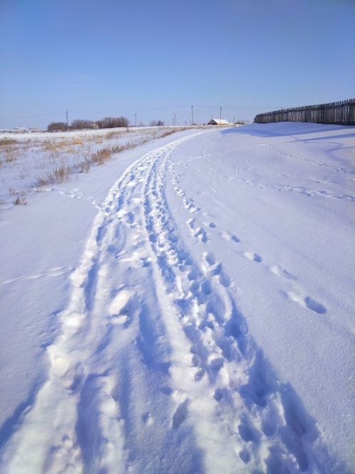 Прогноз погоды в Алексеевском на 27 февраля