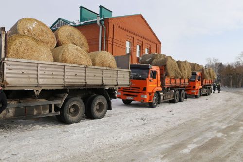 Алексеевцы с размахом отметили Масленицу, собравшись на Соборной площади для проводов зимы