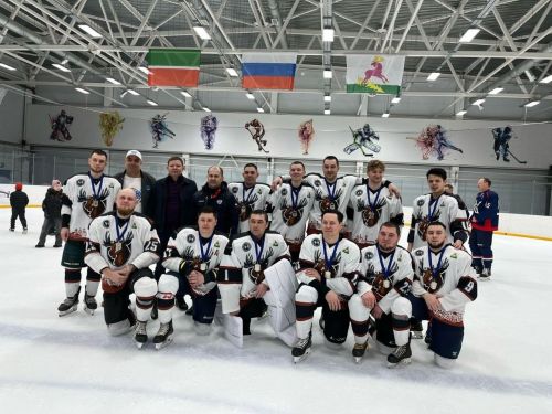На льду Алексеевского дворца определились лучшие хоккейные команды Закамья