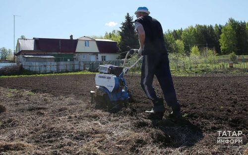 В Татарстане владельцам заброшенных участков дали три года на уборку