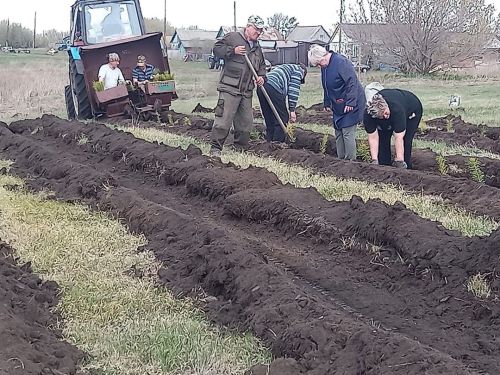 Жители Масловки поддержали акцию «Сад памяти»: 400 новых сосен в память о героях