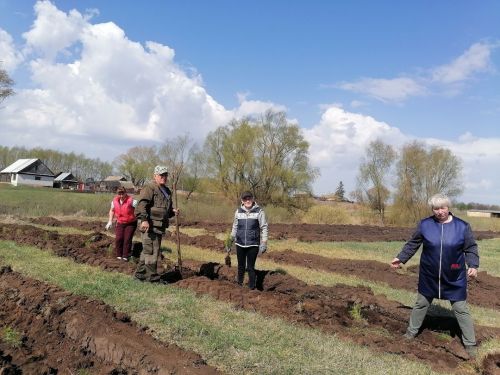 Жители Масловки поддержали акцию «Сад памяти»: 400 новых сосен в память о героях