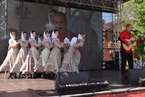 В Алексеевском проходит XXIII Фестиваль колокольного звона «Алексеевские перезвоны – 2025»