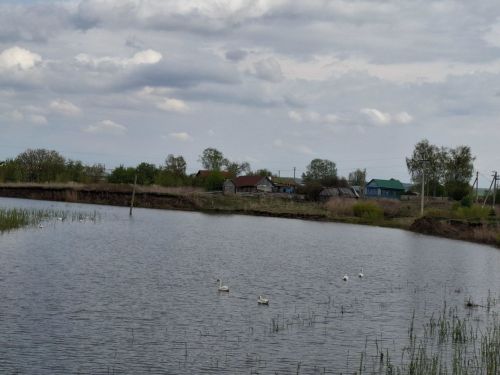 Прогноз погоды в Алексеевском на 3 июня