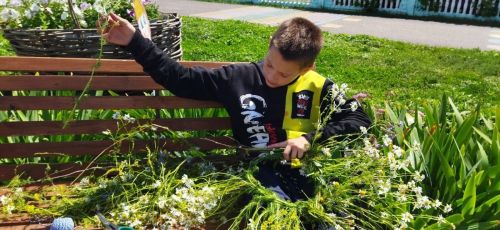 Воспитанники приюта «Забота» отметили День Ивана Купалы