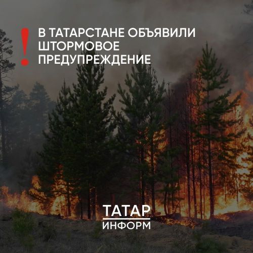 Ограничено посещение лесов в Татарстане из-за пожароопасности