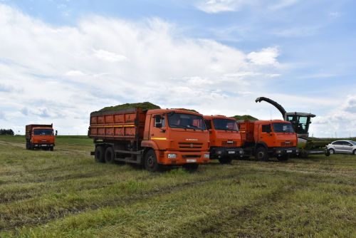Механизаторы колхоза «Родина» получили награды в поле