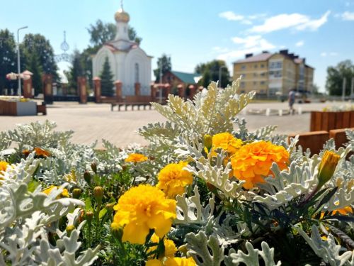 Прогноз погоды в Алексеевском районе  на 9 июля