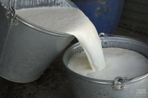 Татарстан установил рекорд по производству молока, превысив 2,37 млн тонн в 2025 году