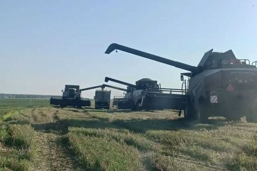 Погода в Алексеевском районе на 11 октября