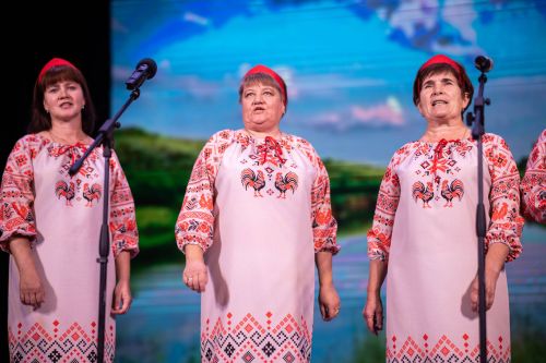 В Алексеевском районе прошёл отборочный этап конкурса «Единство талантов»