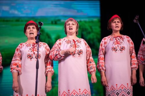 В Алексеевском районе прошёл отборочный этап конкурса «Единство талантов»