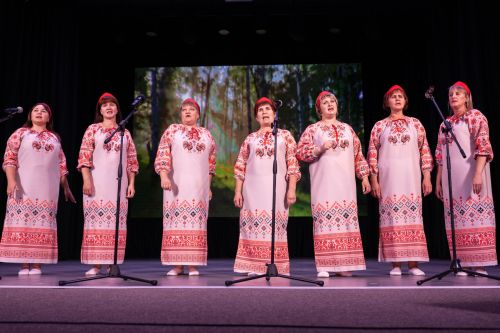 В Алексеевском районе прошёл отборочный этап конкурса «Единство талантов»