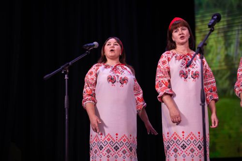 В Алексеевском районе прошёл отборочный этап конкурса «Единство талантов»