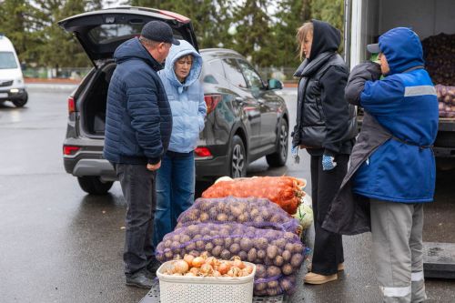 В Алексеевском районе прошла традиционная сельскохозяйственная ярмарка