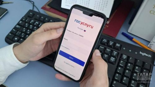 «Зелёная кнопка» позволит снимать ограничения на «Госуслугах»