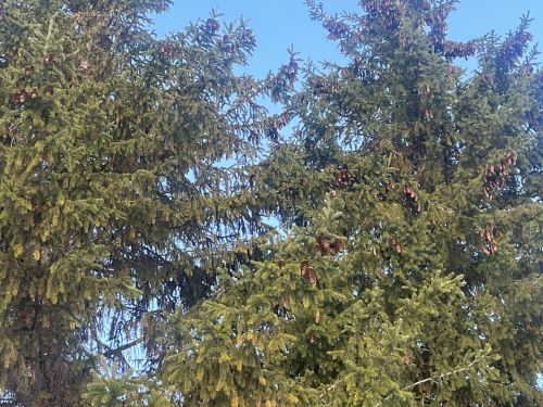 Прогноз погоды на 15 марта