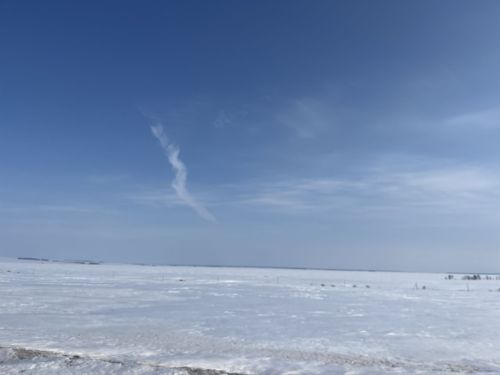 Погода в Алексеевском на 16 марта
