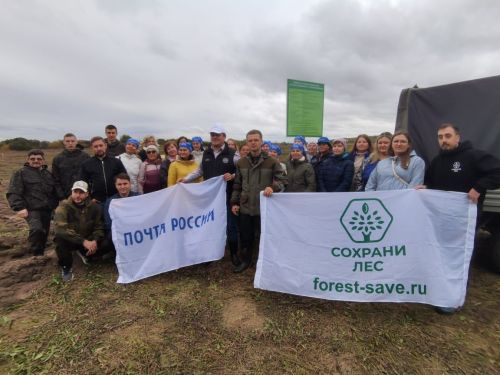 Благодаря помощи жителей в Татарстане растёт «Почтовый лес»
