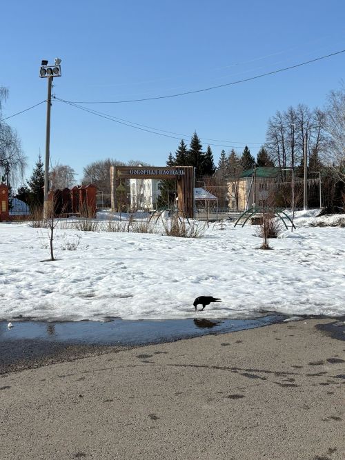 Прогноз погоды в Алексеевском на 2 апреля
