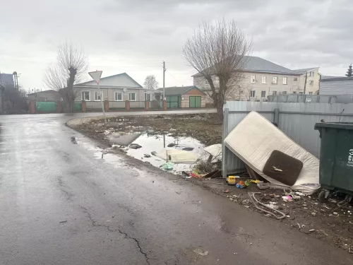 В Алексеевском районе выявлены свалки вдоль автомобильных дорог