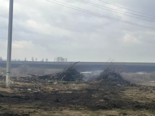 В Алексеевском районе выявлены свалки вдоль автомобильных дорог