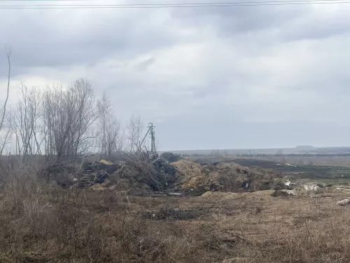 В Алексеевском районе выявлены свалки вдоль автомобильных дорог