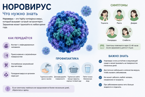 Как защититься от норовирусной инфекции летом