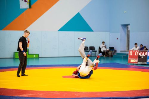 В Алексеевском состоялся республиканский турнир по борьбе на поясах