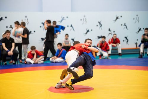 В Алексеевском состоялся республиканский турнир по борьбе на поясах
