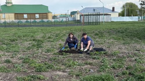 Чистота в каждом селе: весеннее благоустройство идет полным ходом