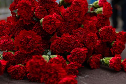 Алексеевский район отметил День Победы