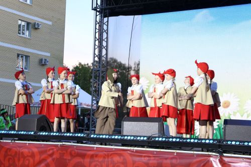 День Победы в Алексеевском завершился концертом и праздничным салютом